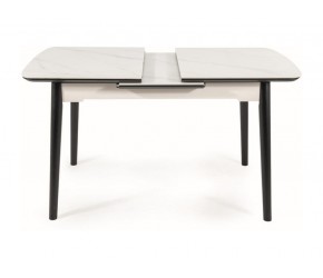 Стол APOLLO 120(160)x80 белый мат / черный каркас