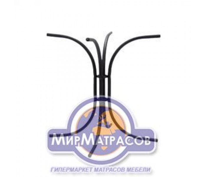 База AMF Соня База AMF Соня