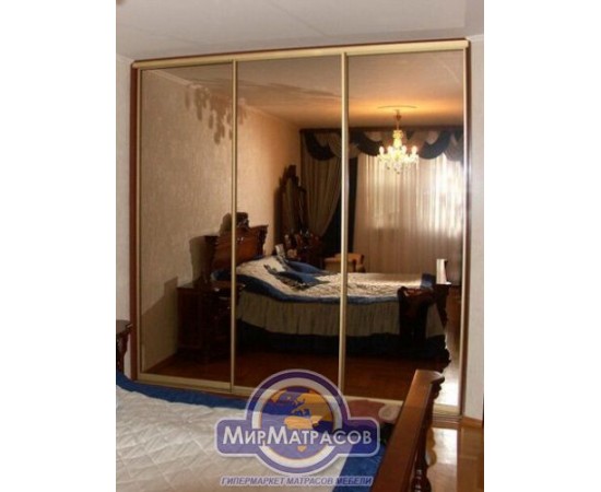 Шкаф-купе 2100х450х2100 на 3 фасада "Комфорт"