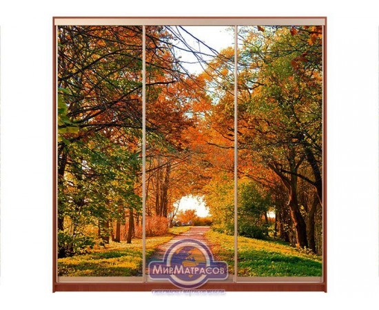 Шкаф-купе 2100х450х2100 на 3 фасада "Комфорт"